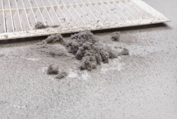 Best Home Air Vent Cleaning  in Hawaiian Beaches, HI