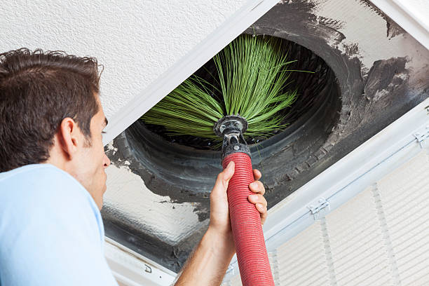 Best Affordable Air Duct Cleaning  in Hawaiian Beaches, HI