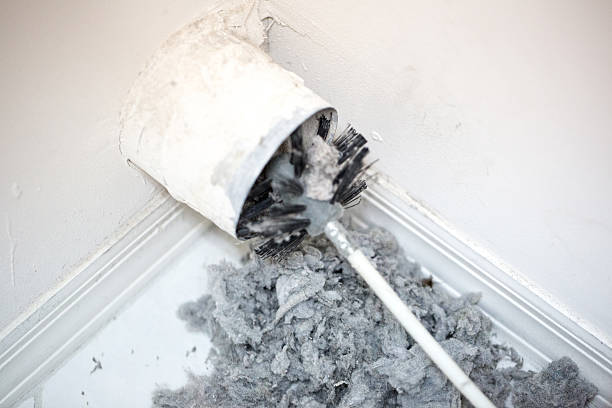 Best Dryer Vent Cleaning Services  in Hawaiian Beaches, HI